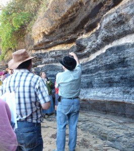 Coal beds at the headland of Austinmer Beach, New South Wales.