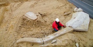 Excavating whale fossils from Chilean desert