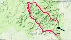 Rainfall catchment for Carnarvon Gorge. Arrow shows entrance to gorge. Google map, terrain view.