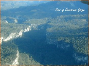 View up Carnarvon Gorge (Photo by outbackairtours.com)