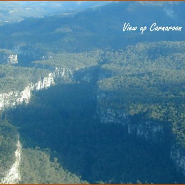 Carnarvon Gorge, Australia: monument to Noah’s Flood