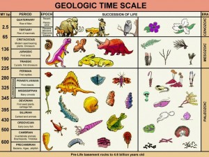 Figure 3. The geological column hides the Flood of Noah becuase it is constructed assuming the Flood never happened.