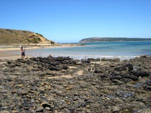 Bonwicks Beach.  Basalt outcrops in foreground. Sandstone rock platform in background. Cape Woolamai in distance across water.