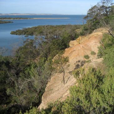 Phillip Island Excursion Site 17: Rhyll Inlet and Diamond Dolly Quarry