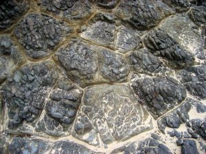 Cross-sections of basalt columns in the embankment near the stairs to the beach form polygons.